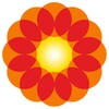 黄苹果免费短剧